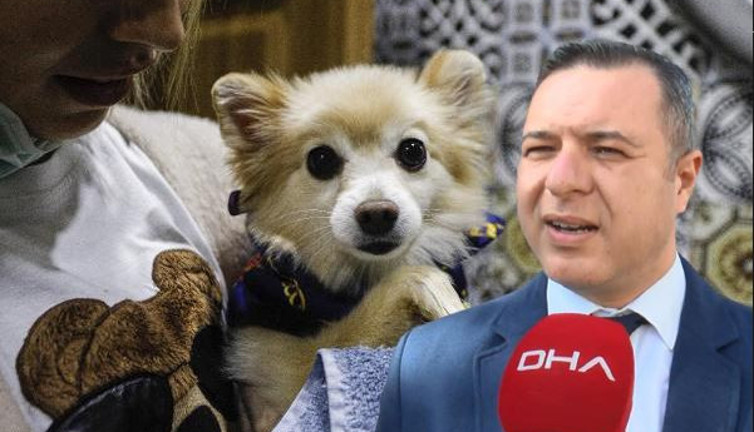 Bilim Kurulu üyesi Naim Deniz Ayaz: Aşı olmasa bile hayvanlarda PCR testi istenilebilir