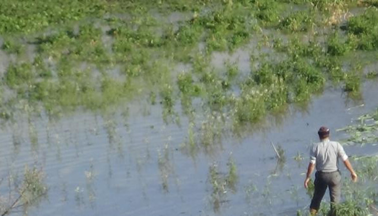 Dar gelirlinin sebzesi 3 TL'den 8 TL'ye fırladı. Baraj taştı olan vatandaşa oldu