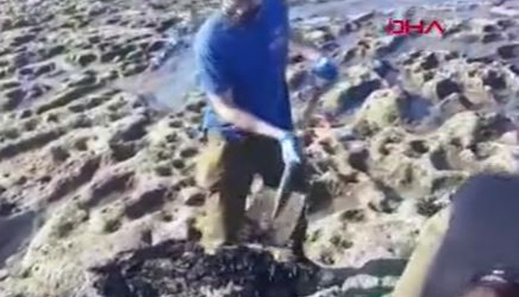 İsrail'de katran felaketi sahilleri kapattırdı