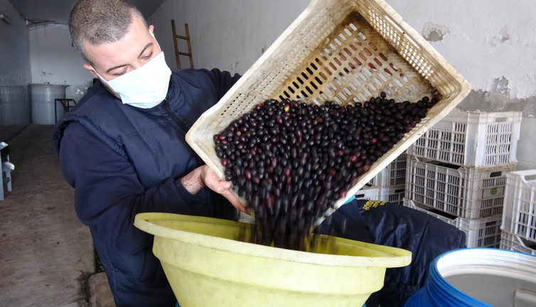 Zeytinde akılalmaz hile. Alırken bir değil bin kere düşünün