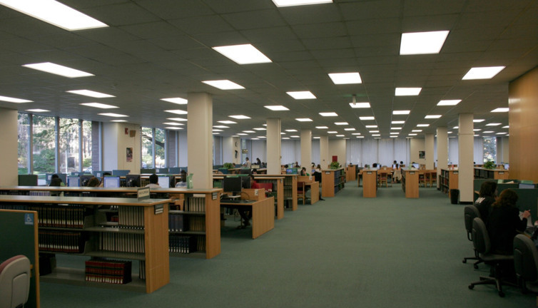 Zehirli örümcekler kütüphaneyi bastı. 2 gün hizmet veremedi