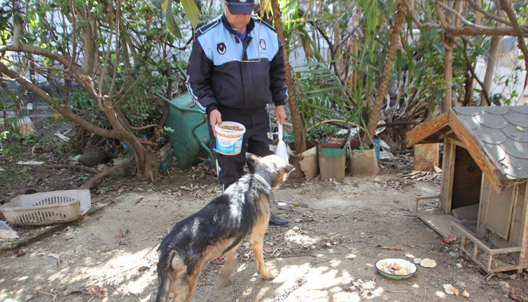 Cezaevindeki tutuklunun hayvanları belediyeye emanet