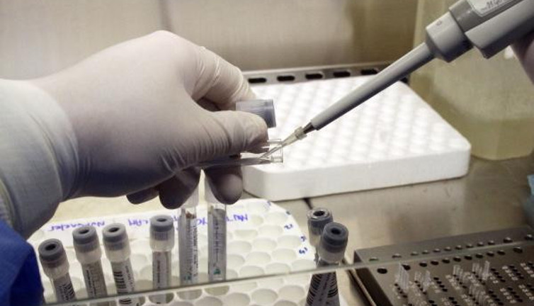 Korona virüsü bulaştırmadıkları kanıtlandı. Yazı rahat geçireceğiz