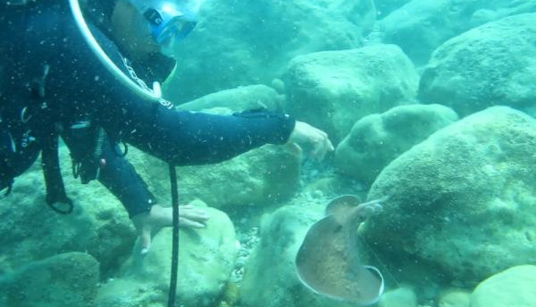 Prof. Dr. Gökoğlu'nu denizde elektrik çarptı. Neye uğradığını şaşırdı