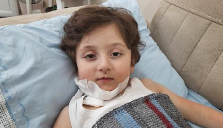 Kocaeli'nde çocuklarını azgın köpeklerin dişleri arasından aldılar. Dehşeti yaşadı hastanelik oldu