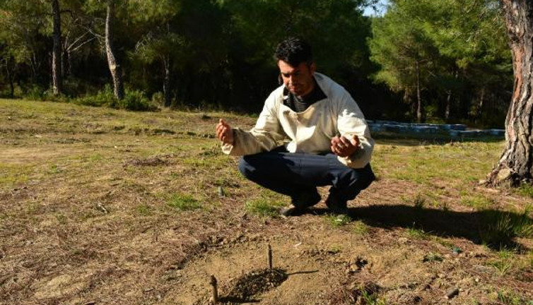 Adana'da ölen arıları için toplu defin töreni yaptı. Aynı acıyı ikinci kez yaşadı