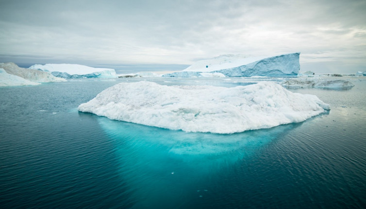 Çok gizli askeri operasyonda alınan topraktan çıktı. Dondurucuda unutup gitmişler