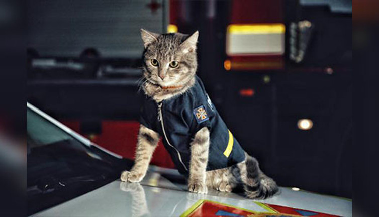 Donmaktan kurtarıldı itfaiye ekibine kurtarıldı