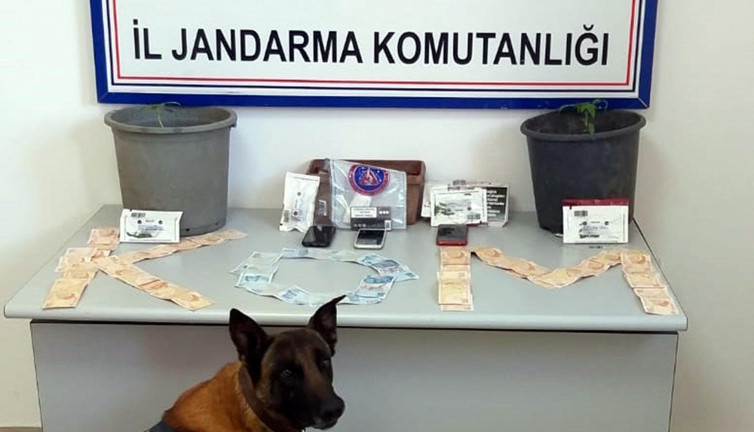 Yaktığı ev mezarı oldu