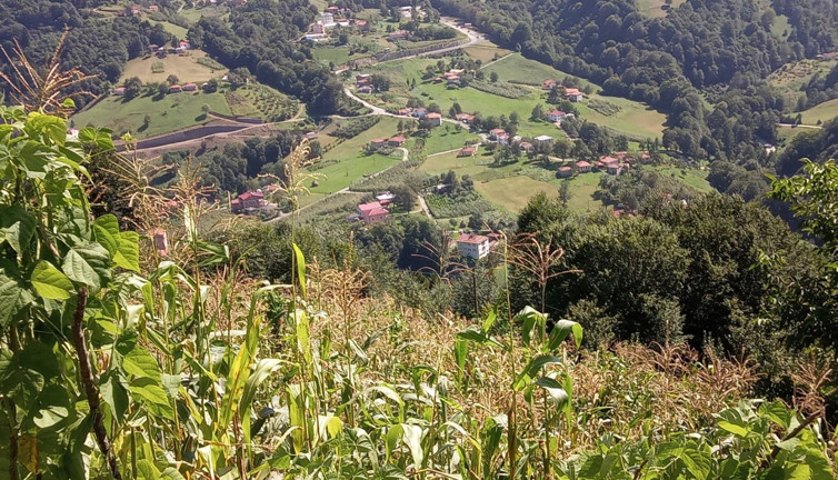 Eşini domuz sanıp öldüren koca: Islık çaldım tepki gelmeyince ateş ettim