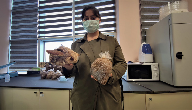 Kursların kapısında kuyruk oluştu. Üreten köşeyi dönüyor