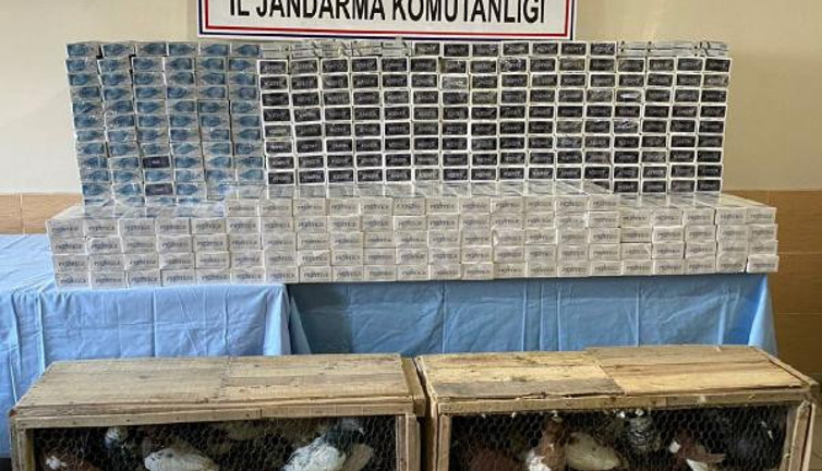 Van'da kaçakçılık operasyonu (29 Mart 2021)