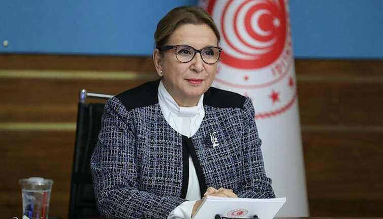 Bakan Pekcan ile ABD Ticaret Temsilcisi Taj bugün görüşecek