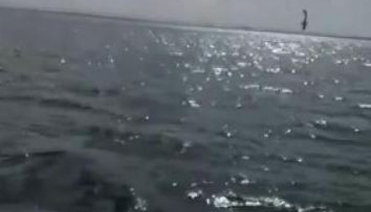 Burun üstü denize çakılan uçak 2 kişiye mezar oldu