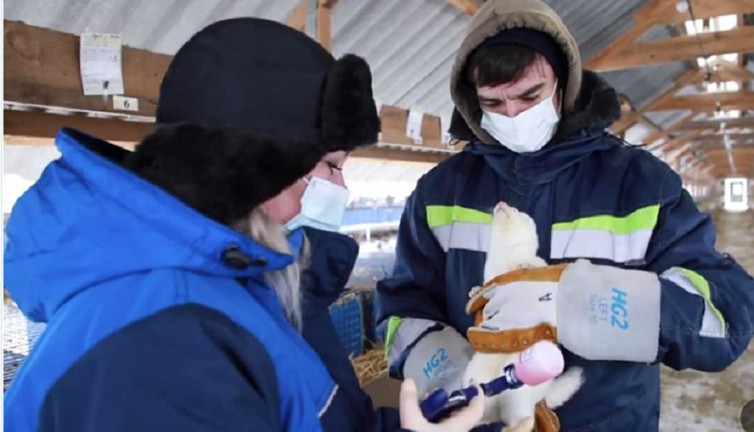 Dünyada bir ilk nisanda seri üretime geçiyor. Tescillendi