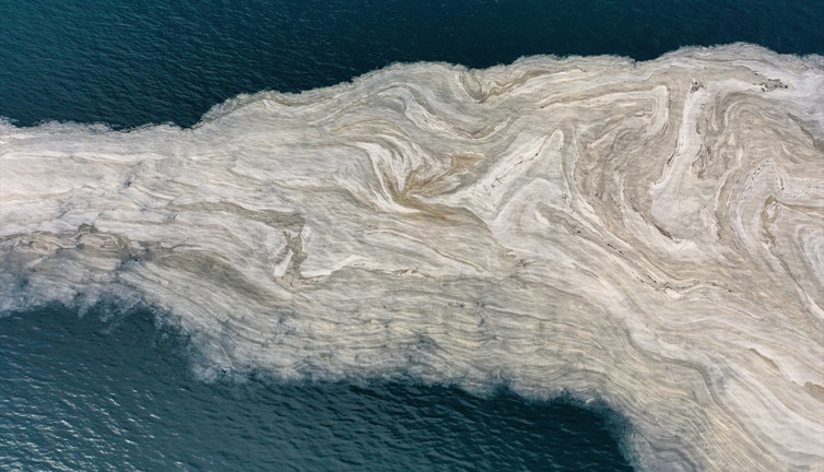 İzmit Körfezi'nde beyaz tabaka oluştu