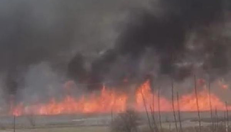 Gölünyazı Kuş Cenneti'nde korkutan yangın. Yol olmadığı için itfaiye araçlarla müdahale edemiyor