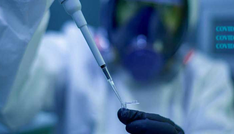 Yeşil tütün yaprağından korona virüs aşısı. Vücutta 10 kat daha fazla antikor üretti