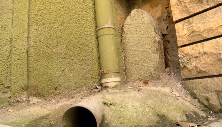 İstanbul'da yürek sızlatan görüntü. Kaderine terk edildi