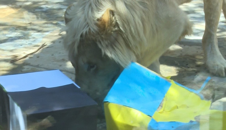 Kahin Aslan Süper Lig'in şampiyonunu açıkladı. ABD'de kimin başkan olacağını bilmişti