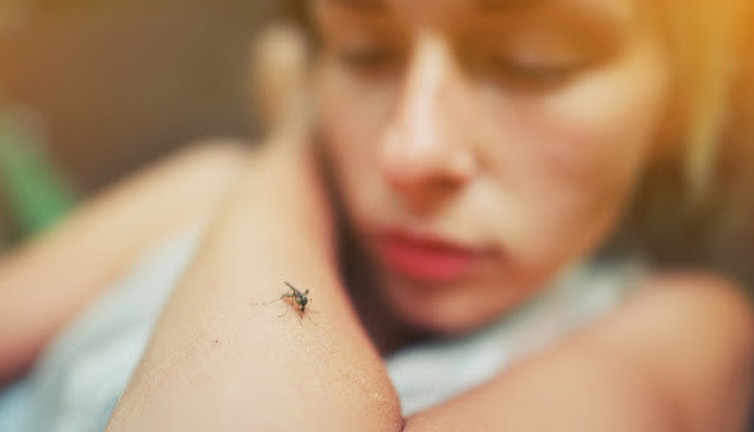 Yüzlerce kişi sıtma kurbanı oldu