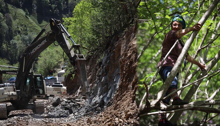 İkizdere’de vatandaşlar ağaçlarda nöbet tutuyor: İş makinesinin sesini duyuyorum ciğerim parçalanıyor
