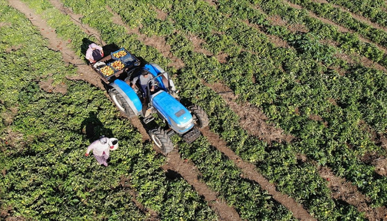 Pakdemirli açıkladı. Bayramdan önce ödeme yapılacak