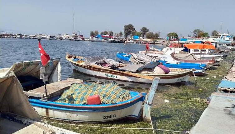 Denizlerimize neler oluyor... Her yerden bir bir korkutan görüntüler geliyor. Deniz salyasından sonra bir de bu çıktı