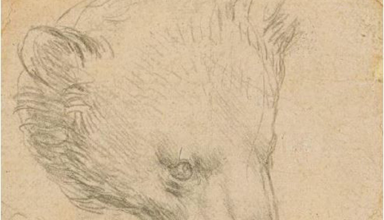 Da Vinci’nin çizimine rekor fiyat