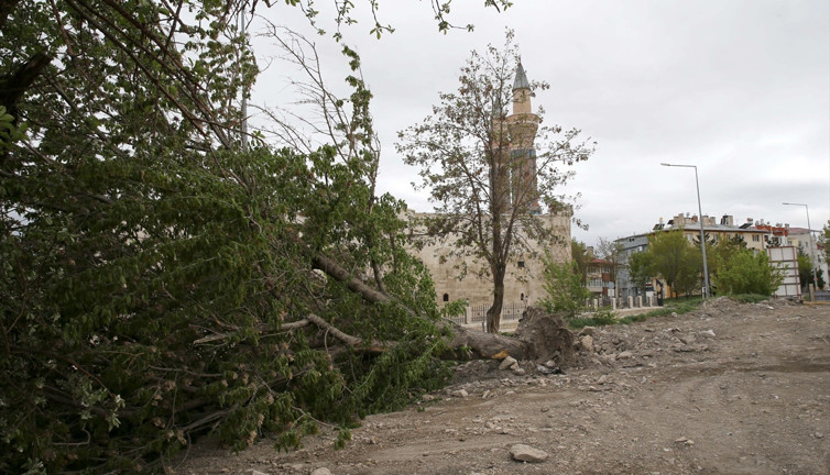 Sivas'ta şiddetli fırtına ağaçları yıktı geçti