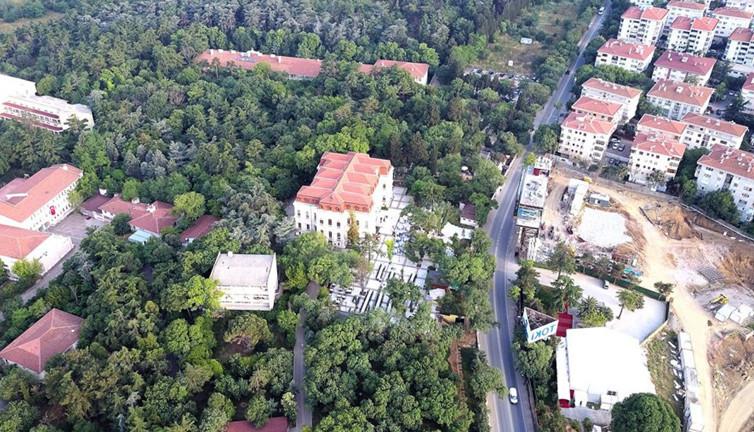 Validebağ korusunda katliama hazırlık. Tarihi koruyu beton denizine dönüştürecek projedeki oyun ortaya çıktı