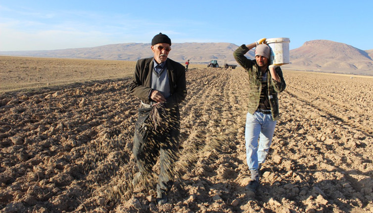 Çiftçiye ölüm fermanı. Dünya Çiftçiler Günü'nde çiftçileri isyan ettiren karar