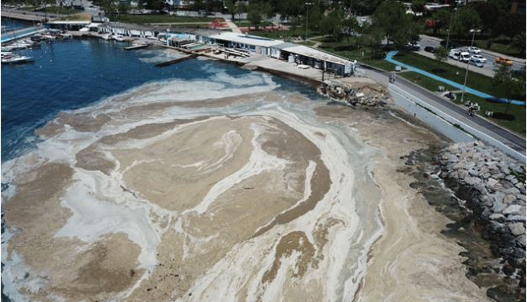 Salyalar Cadde Bostan sahiline geri döndü. Kabus günden güne büyüyor