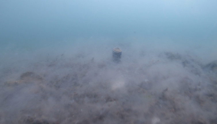 Marmara Denizi'nde asıl tehlike dipteymiş! Derinlere dalıp salyaları görüntülediler