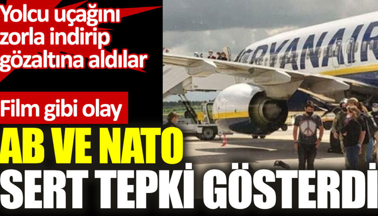 Yolcu uçağını zorla indirip gözaltına aldılar