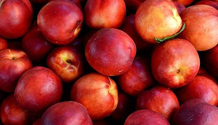 Tonlarca Türk ürününü zararlı diyerek iade etti