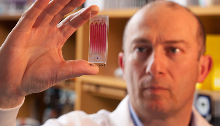 Türk profesör kanser hastalarına umut oldu