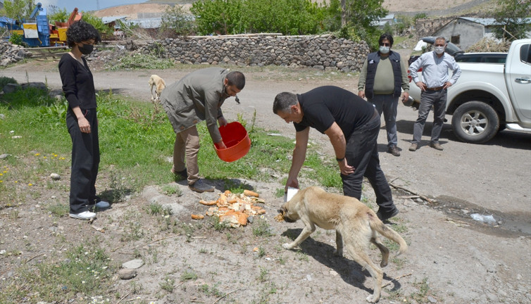Kısıtlama günlerinde sokak hayvanları unutulmadı