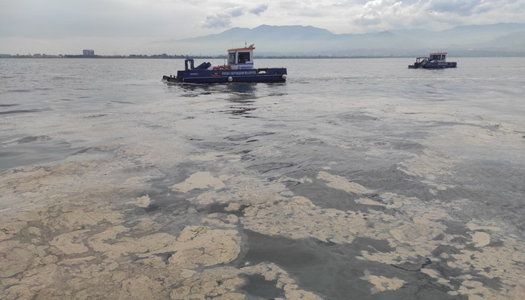 Marmara’yı saran 'deniz salyası' tehlikesi Meclis gündeminde