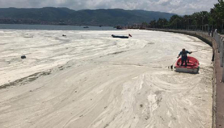 Prof. Dr. Öztürk: Haliç'i temizledik ama Marmara'yı temizleyemezsiniz