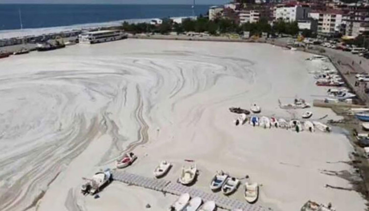 Profesör Salihoğlu Marmara’daki en kirli bölgeleri açıkladı