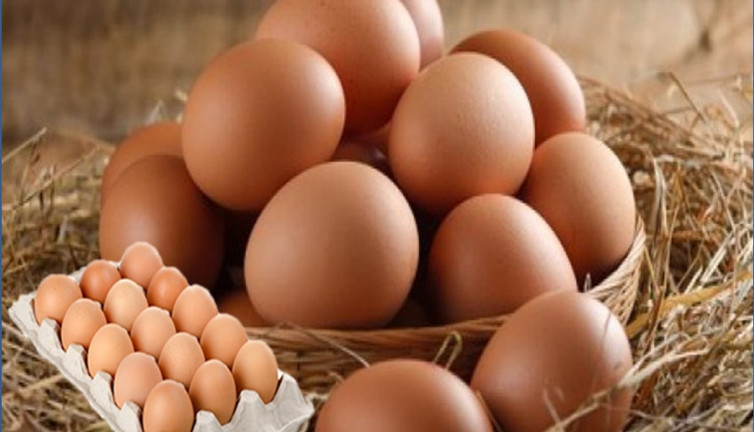 Organik yumurtayı ayırt etme yolları