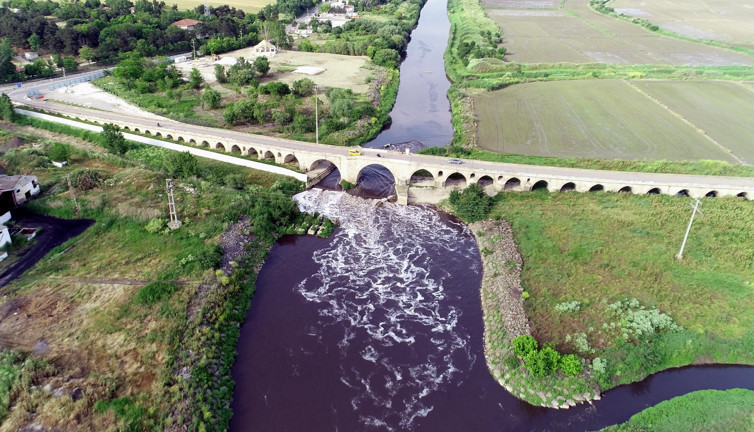 Ergene Nehri, Trakya'da zehir saçıyor