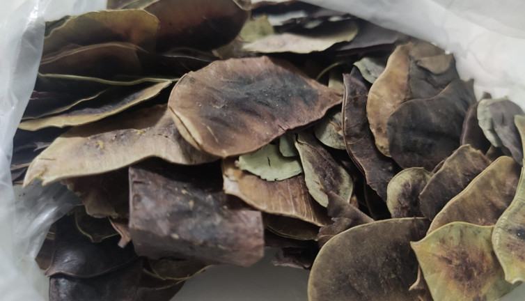 Zayıflamak için bu otu kullananlar dikkat