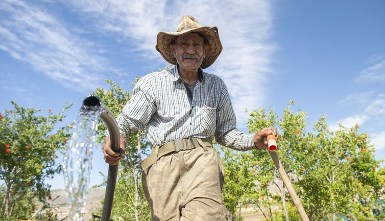 Robinson Ziya'nın Keban Baraj Gölü'ndeki adada huzurlu yaşamı