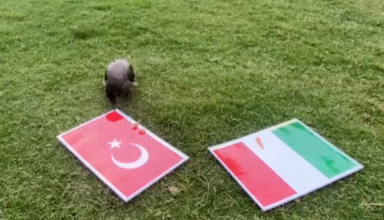 Karga Dido nereden bilebilirdi Şenol Hoca'nın böyle oynatacağını