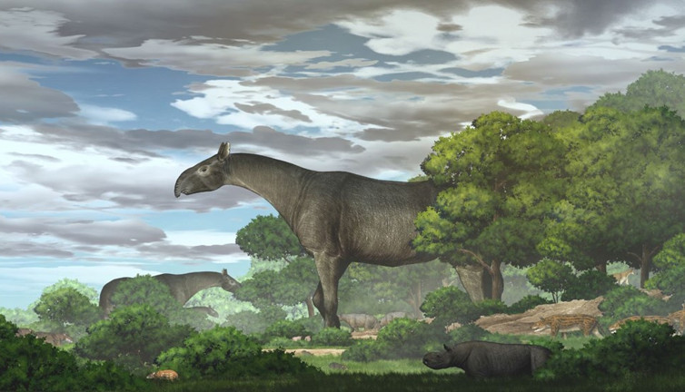 Çin'de 4 fil ağırlığında ve 7 metre uzunluğunda yeni bir gergedan türü keşfedildi