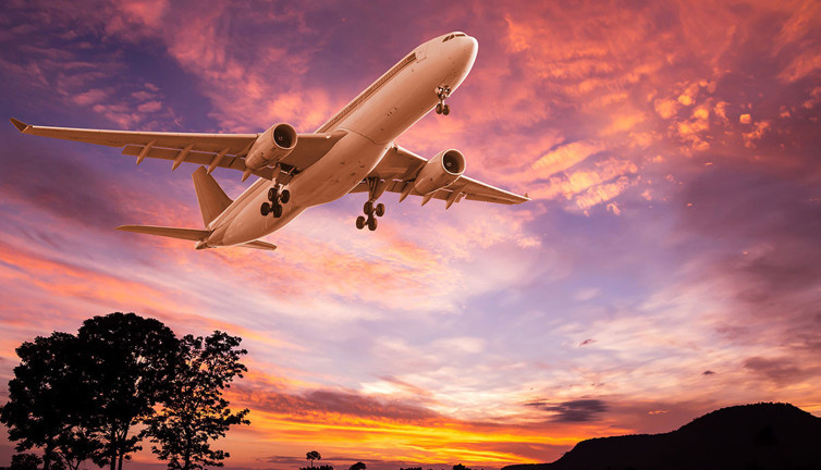 Uçaklarının tümü icralık oldu. Uçuşları durduruldu