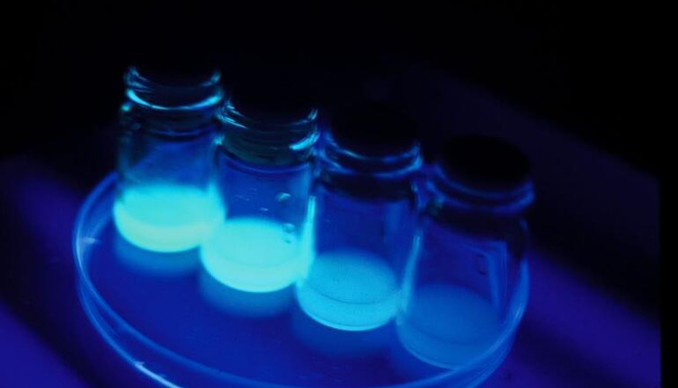 Koli basili bakterisi ile mayınların yeri uzaktan tespit edilebilecek