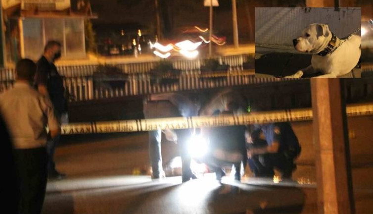 Köpeğini gezdirdiği sırada ensesinden vurularak öldürüldü